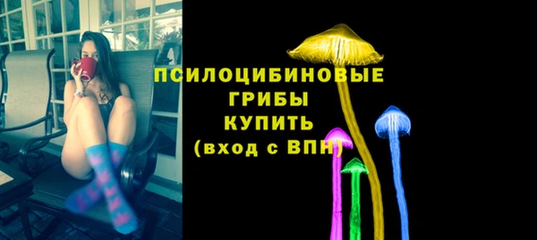 гашик Аркадак