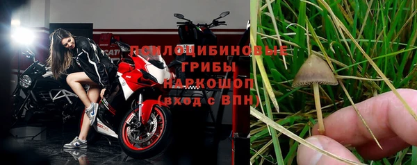 гашик Аркадак
