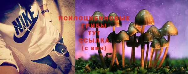 гашик Аркадак